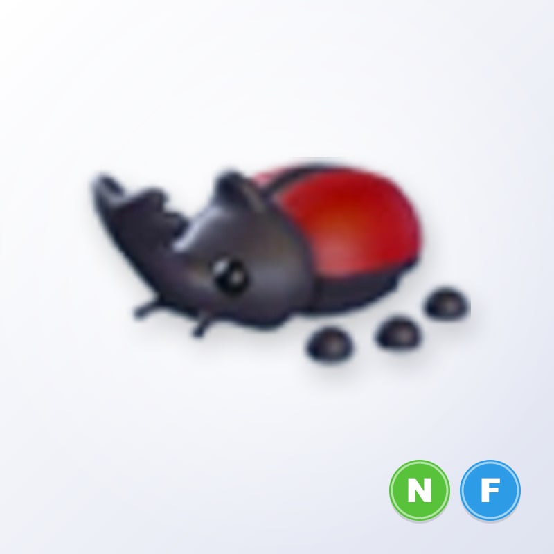 Rhino Beetle NF | Adopt Me