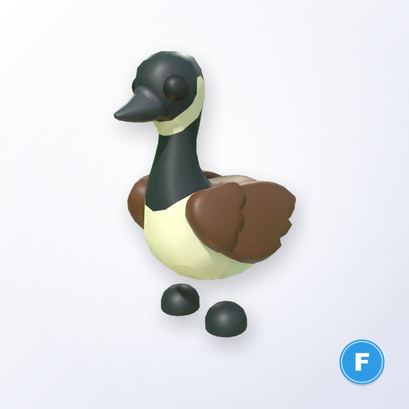 Canadian Goose F | Adopt Me