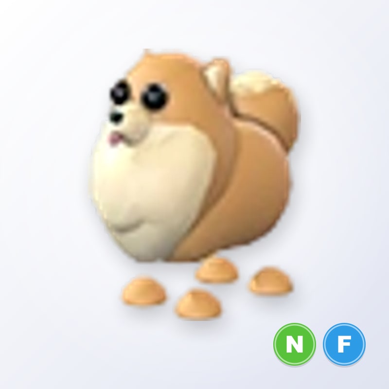 Pomeranian NF | Adopt Me