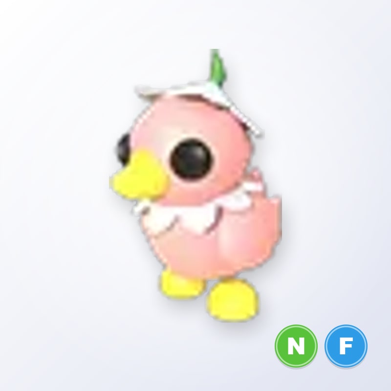 Flower Power Duckling NF | Adopt Me