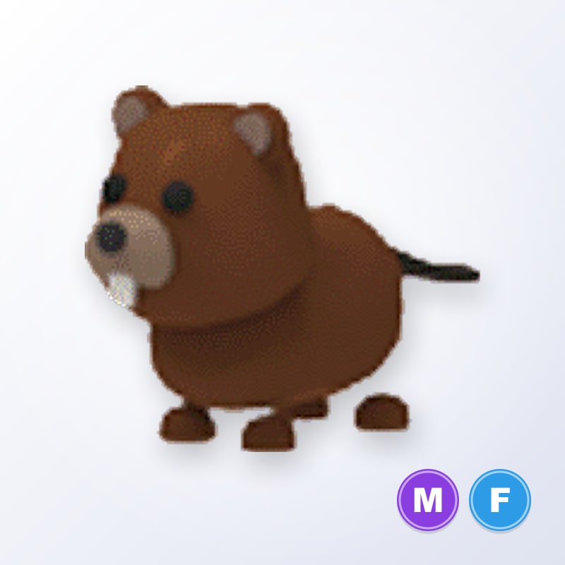 Beaver MF | Adopt Me