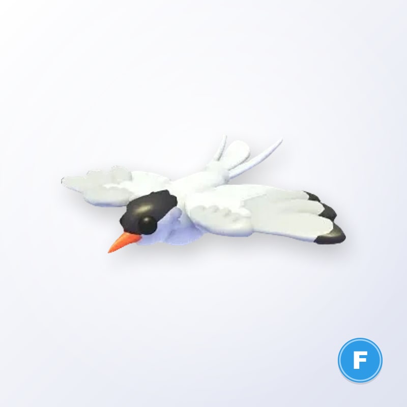 Arctic Tern F | Adopt Me