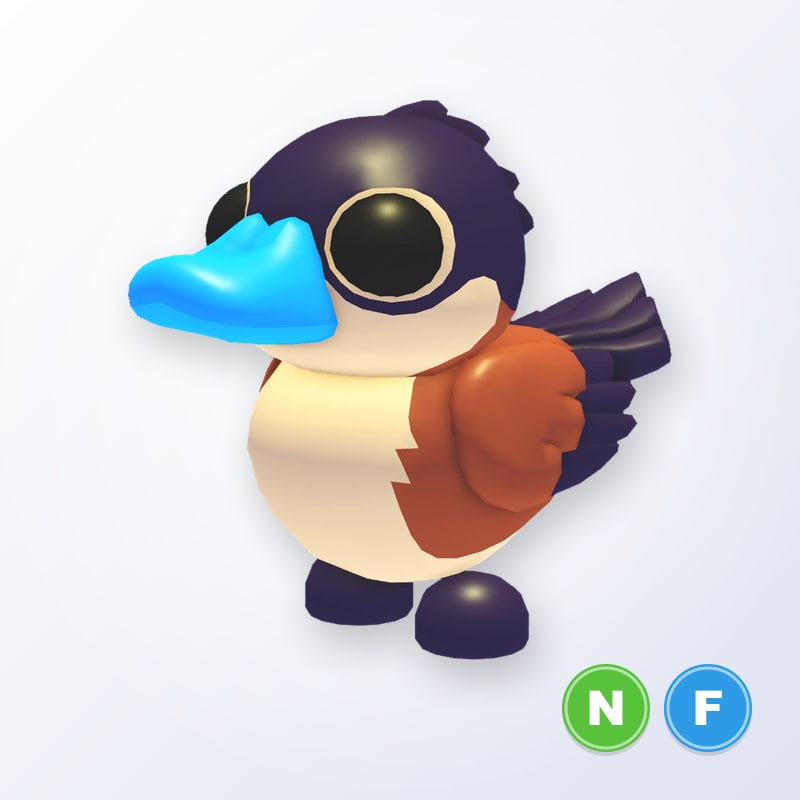Ruddy Duck NF | Adopt Me