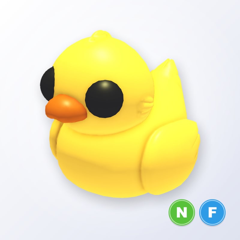 Rubber Ducky NF | Adopt Me