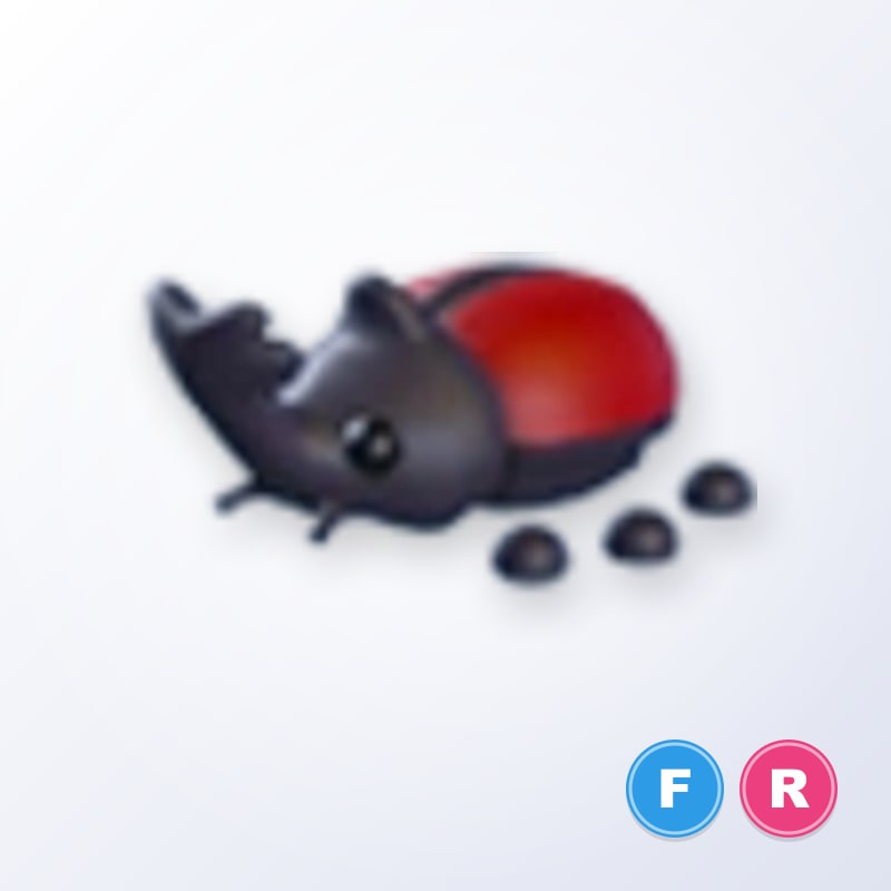 Rhino Beetle FR | Adopt Me
