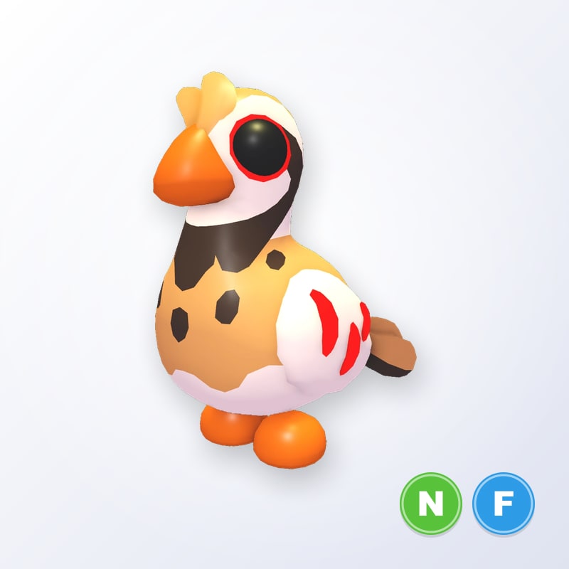 Partridge NF | Adopt Me