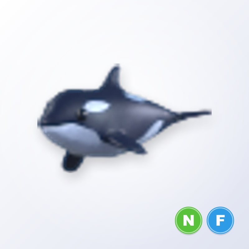 Orca NF | Adopt Me