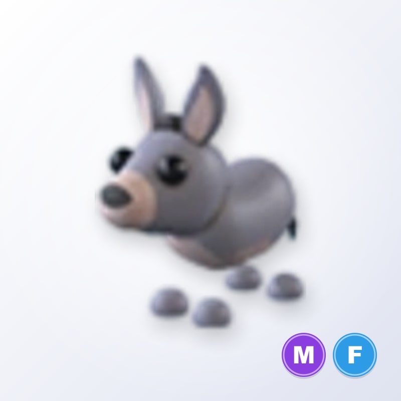 Donkey MF | Adopt Me