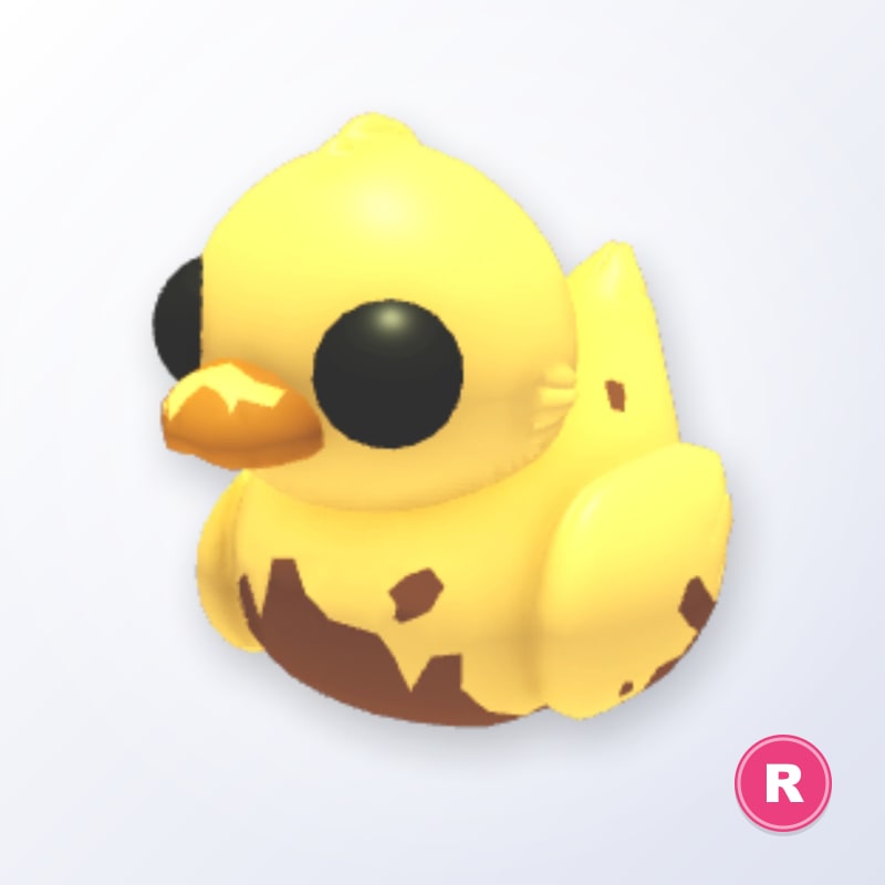 Dirty Ducky R | Adopt Me