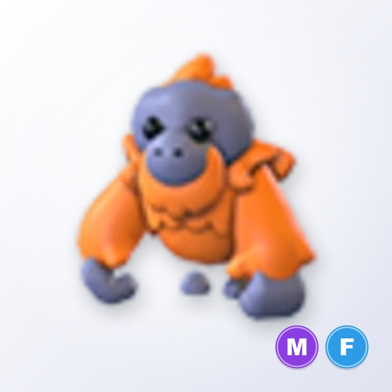 Orangutan MF | Adopt Me