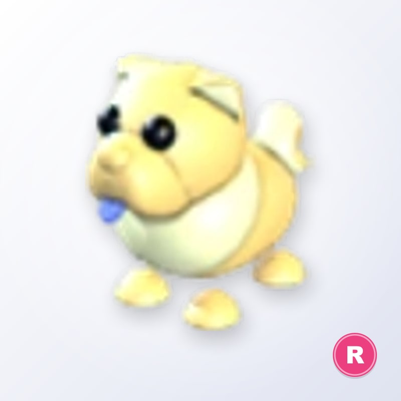 Golden Chow-Chow R | Adopt Me