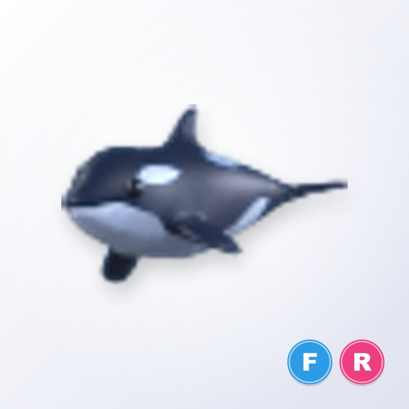 Orca FR | Adopt Me