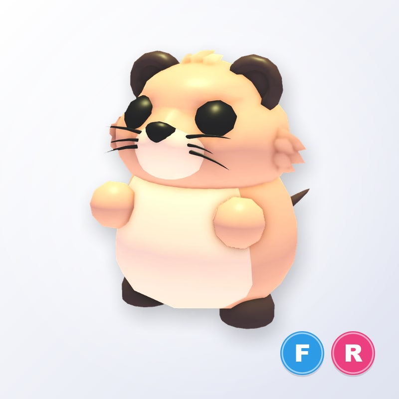 Muskrat FR | Adopt Me