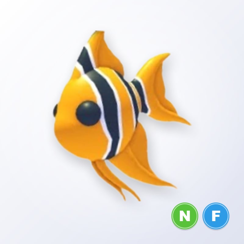 Angelfish NF | Adopt Me