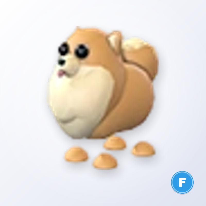 Pomeranian F | Adopt Me