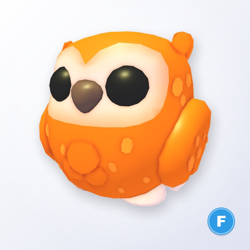 Clementine Owl F | Adopt Me
