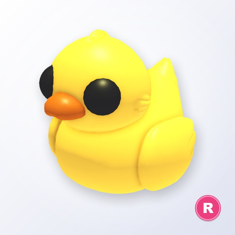 Rubber Ducky R | Adopt Me