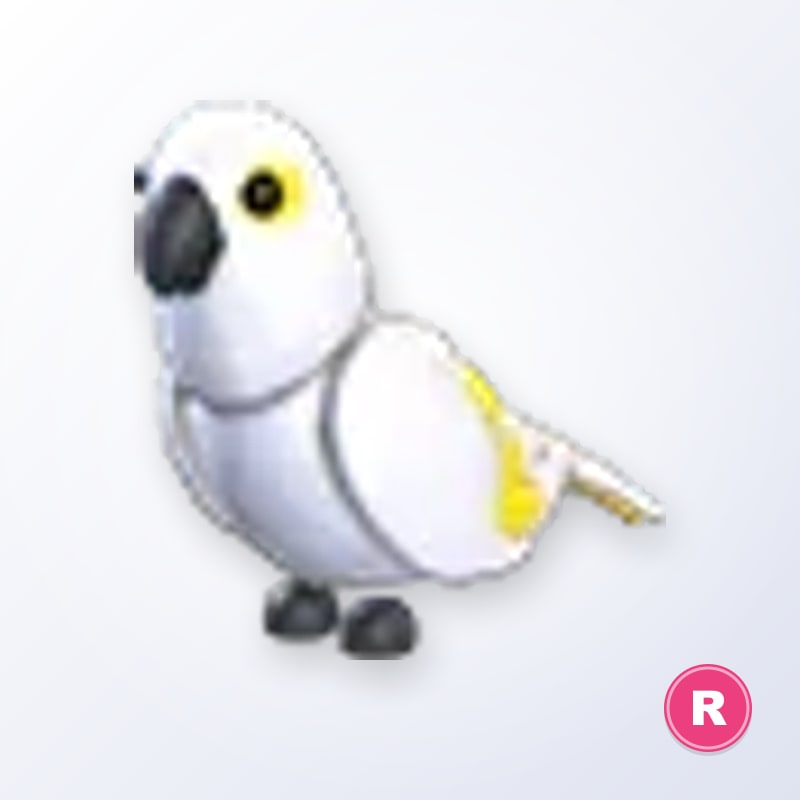 White Amazon R | Adopt Me