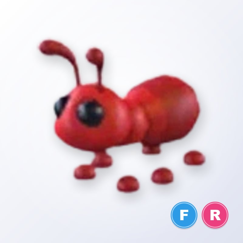 Ant FR | Adopt Me