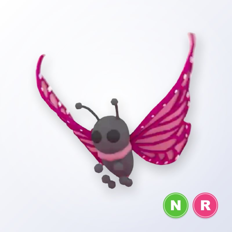 2021 Uplift Butterfly NR | Adopt Me