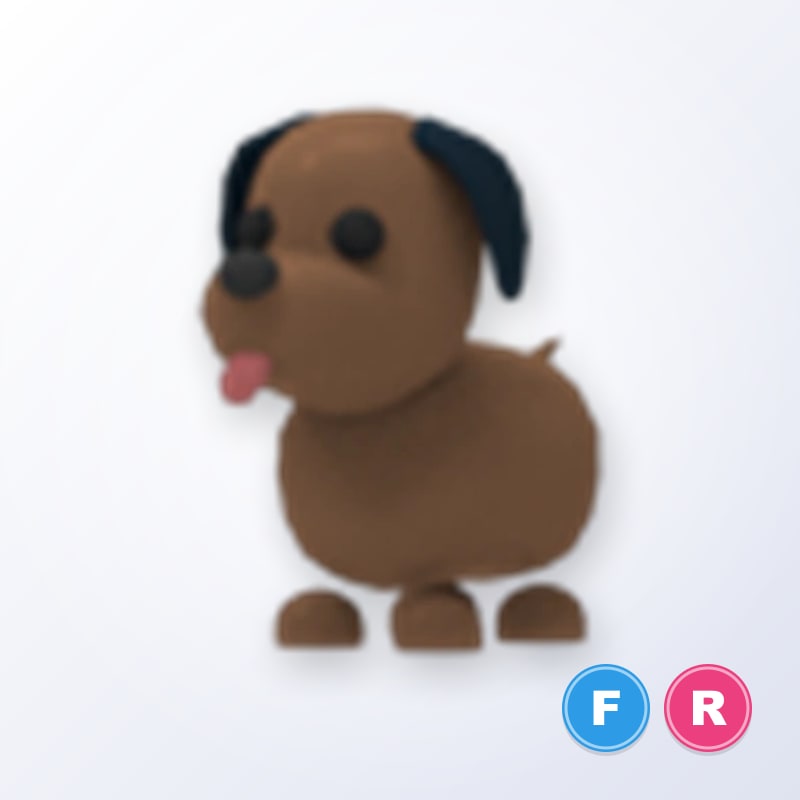 Chocolate Labrador FR | Adopt Me