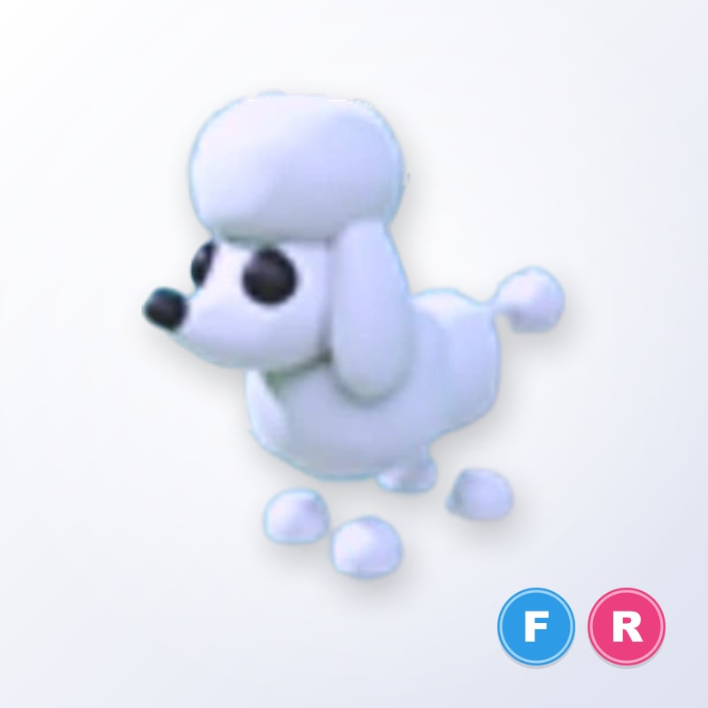 Poodle FR | Adopt Me