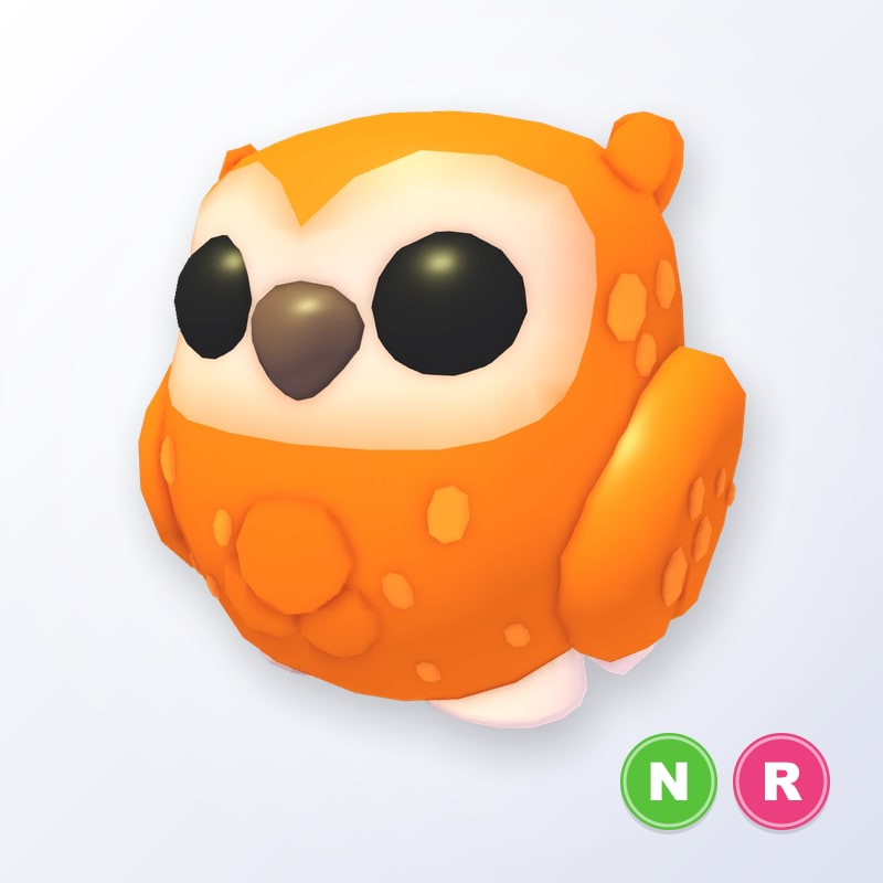 Clementine Owl NR | Adopt Me
