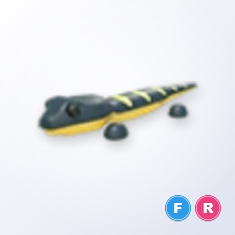 Salamander FR | Adopt Me