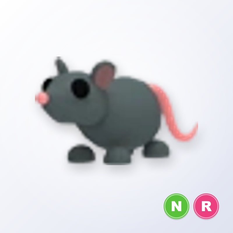 Rat NR | Adopt Me