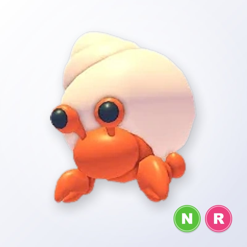 Hermit Crab NR | Adopt Me