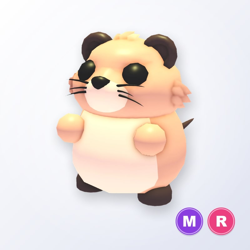 Muskrat MR | Adopt Me