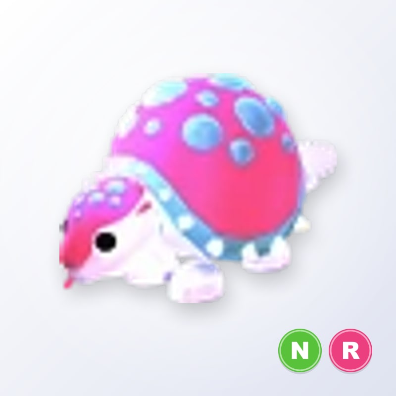 Glyptodon NR | Adopt Me