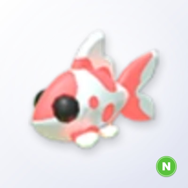 Koi Carp N | Adopt Me
