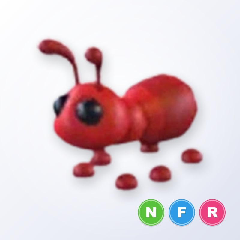 Ant NFR | Adopt Me