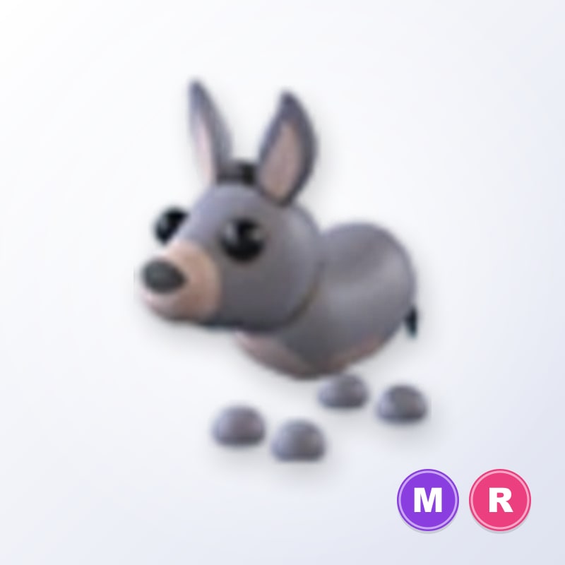 Donkey MR | Adopt Me
