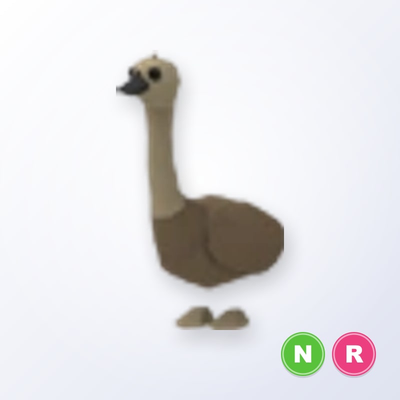 Emu NR | Adopt Me