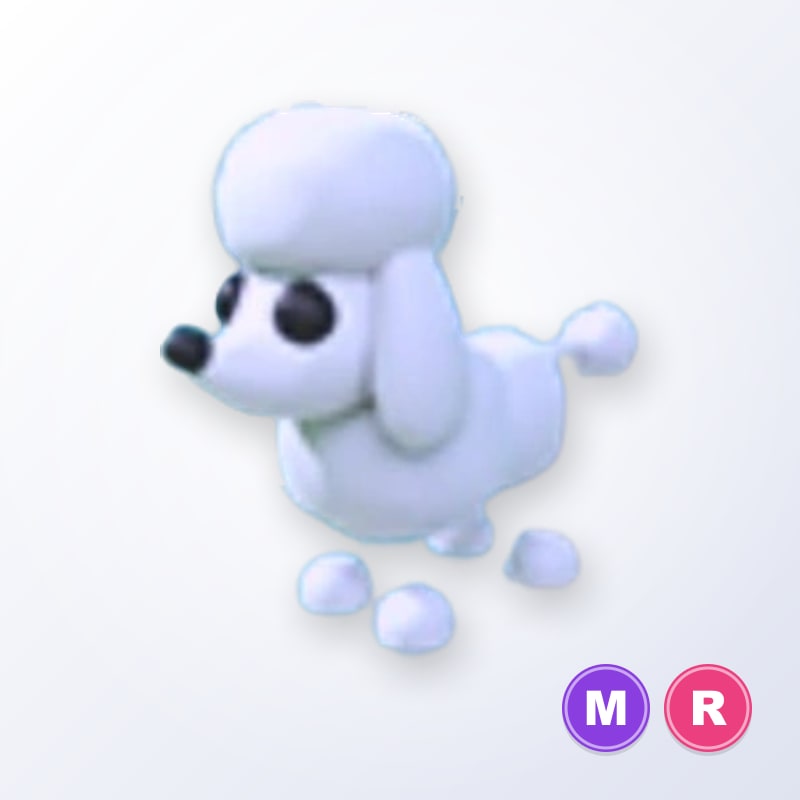 Poodle MR | Adopt Me