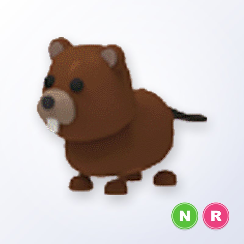 Beaver NR | Adopt Me