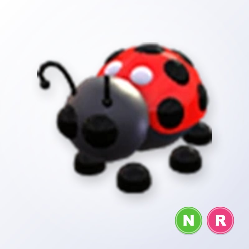 Ladybug NR | Adopt Me