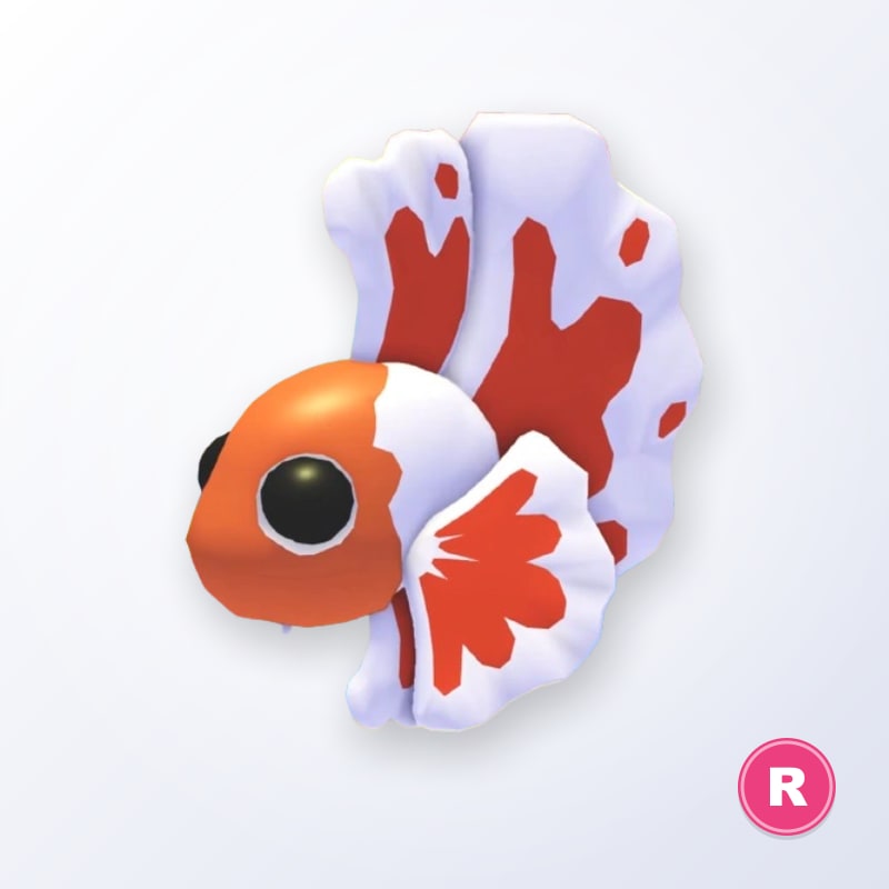 Orange Betta Fish R | Adopt Me