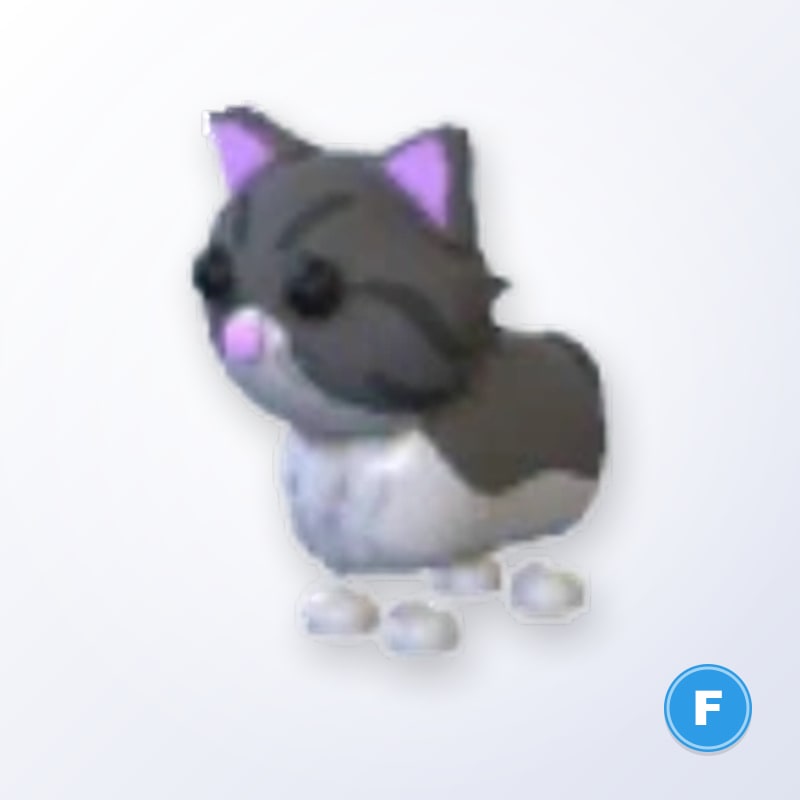 Persian Cat F | Adopt Me
