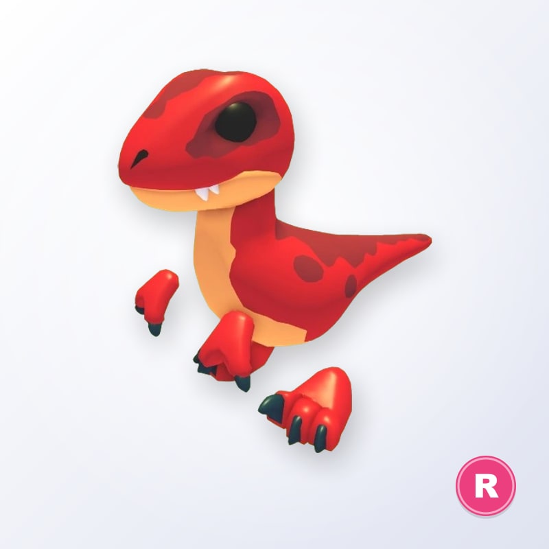 Velociraptor R | Adopt Me