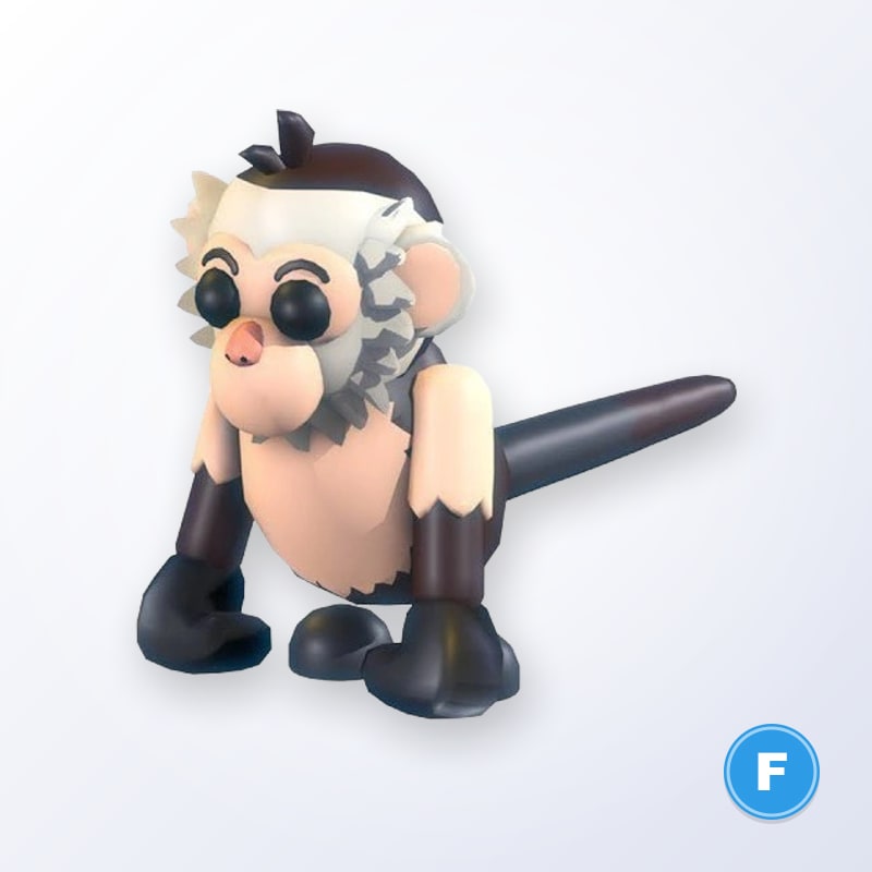 Capuchin Monkey F | Adopt Me
