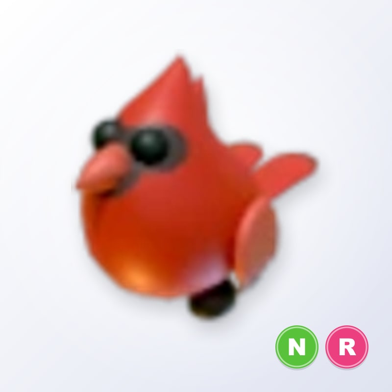 Red Cardinal NR | Adopt Me
