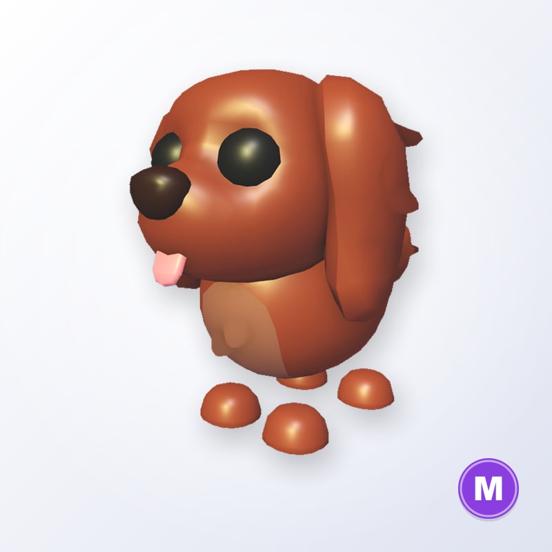 Irish Setter M | Adopt Me