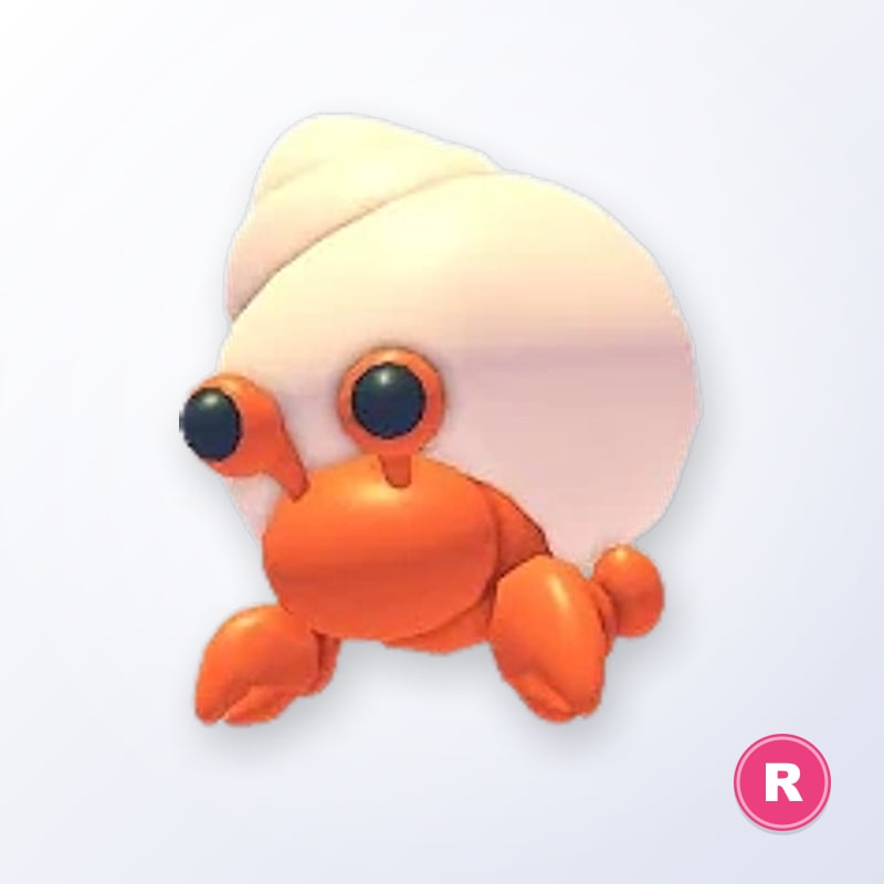 Hermit Crab R | Adopt Me