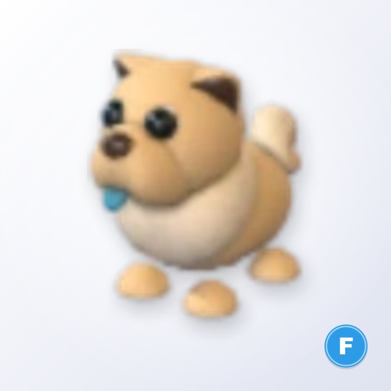 Tan Chow-Chow F | Adopt Me