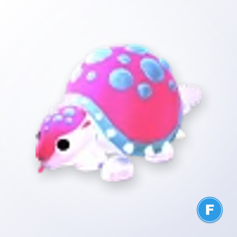 Glyptodon F | Adopt Me