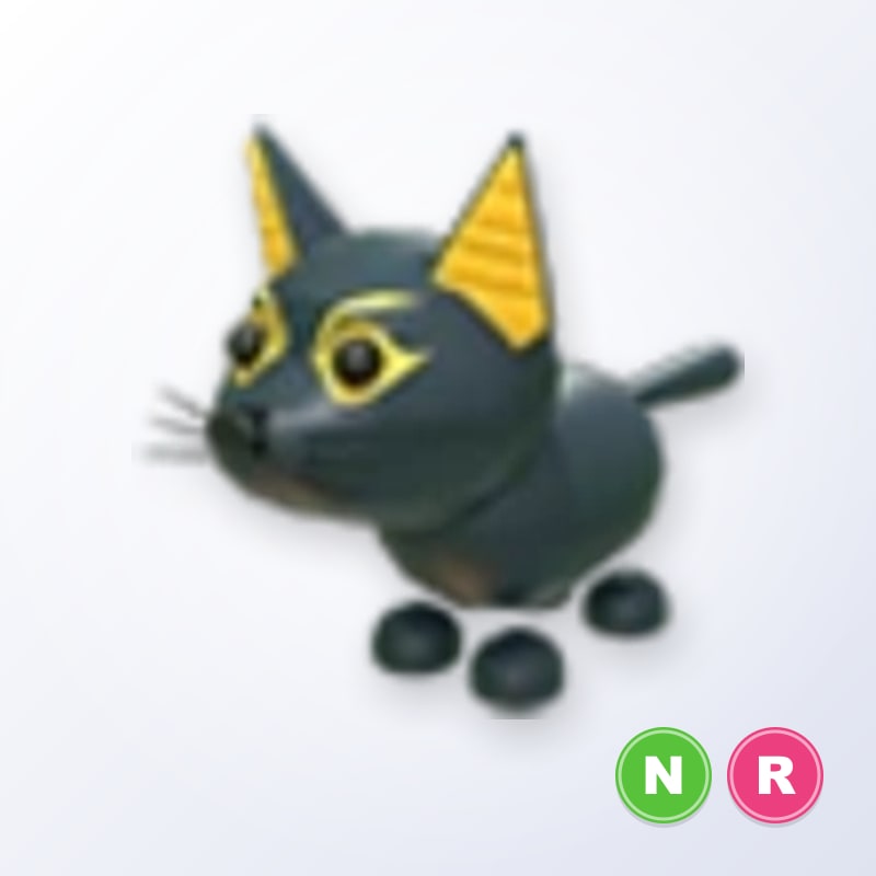 Abyssinian Cat NR | Adopt Me