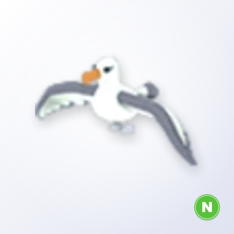 Albatross N | Adopt Me